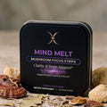 MIND MELT tin with dried mushrooms on stone